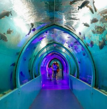 lokaranjan aqua world underwater zoo reviews lokaranjan aqua world underwater zoo reviews
