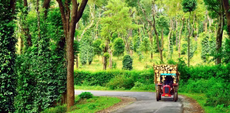 Escaping the City: A Soulful Guide to Quick Getaways Near Bangalore tourist places near bangalore within 300 kms